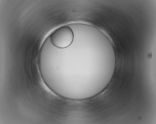 X0000112771100200908201344