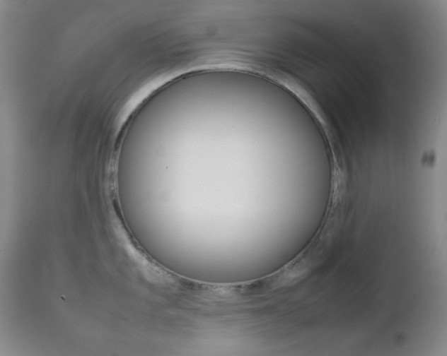 X0000112771101200908201344