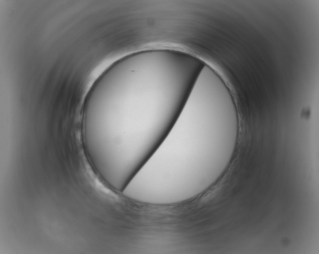 X0000112771102200908201344