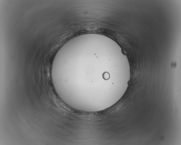 X0000112771106200908201343