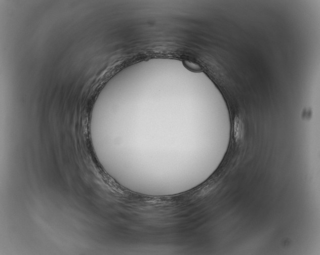 X0000112771107200908201343