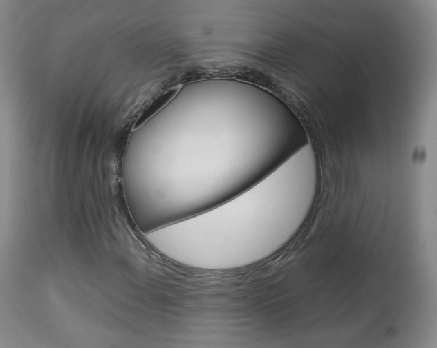 X0000112771108200908201343