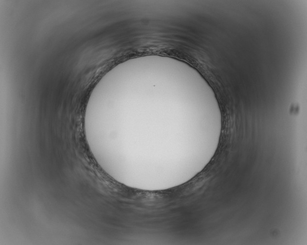 X0000112771109200908201343