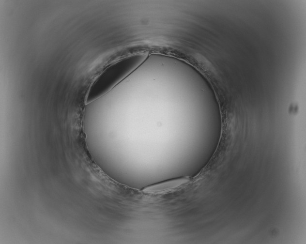 X0000112771110200908201343