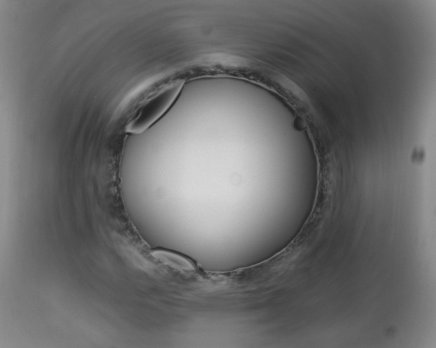 X0000112771112200908201343
