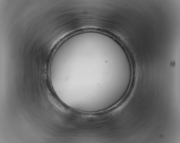 X0000112771113200908201343