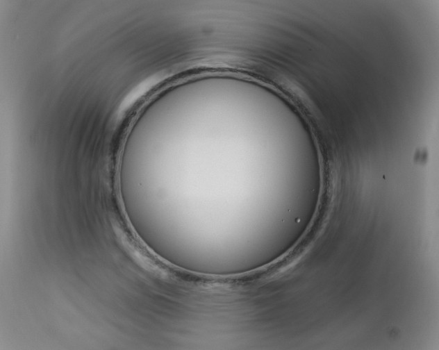X0000112771114200908201343
