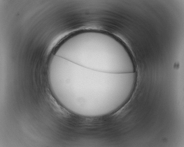 X0000112771115200908201343