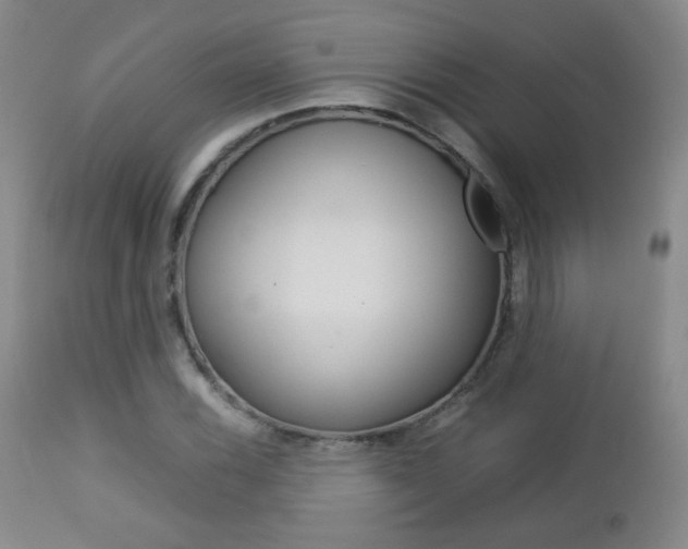 X0000112771116200908201343