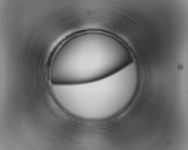 X0000112771118200908201343