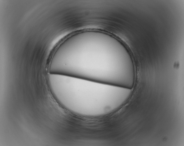 X0000112771119200908201343