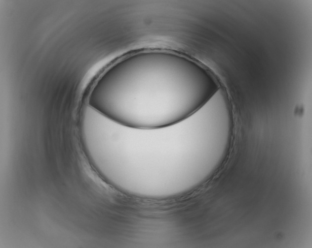 X0000112771120200908201343