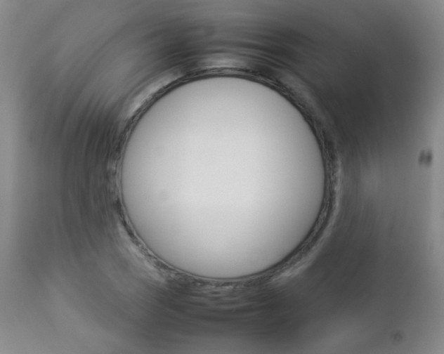 X0000112771121200908201343