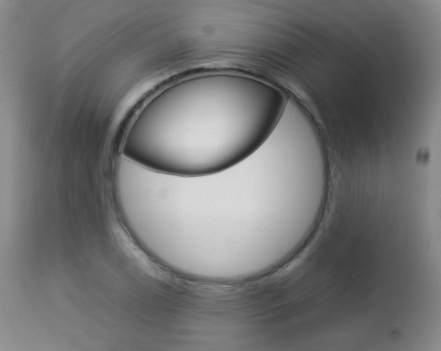 X0000112771122200908201343