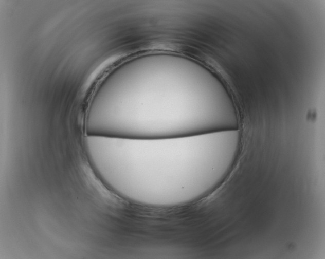 X0000112771123200908201343