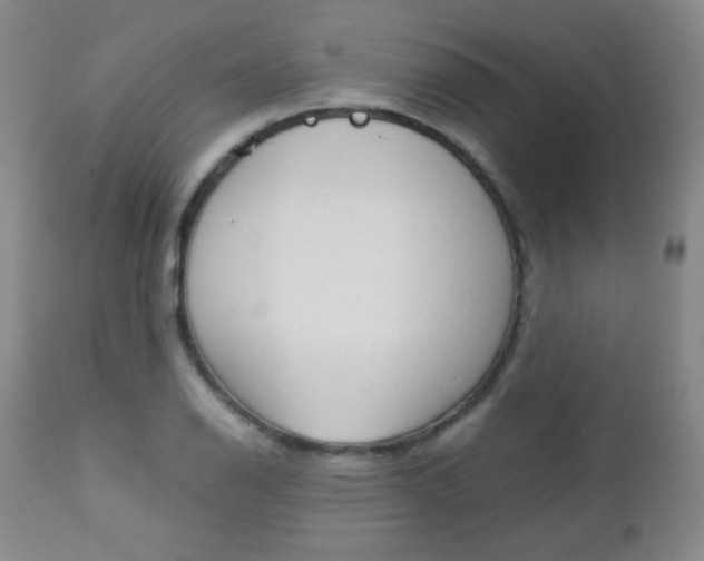 X0000112771126200908201344