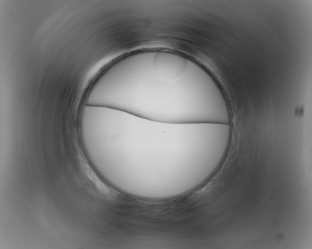 X0000112771127200908201344