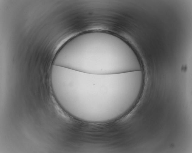 X0000112771129200908201344