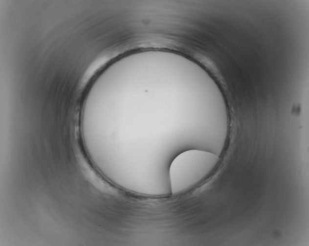 X0000112771130200908201344