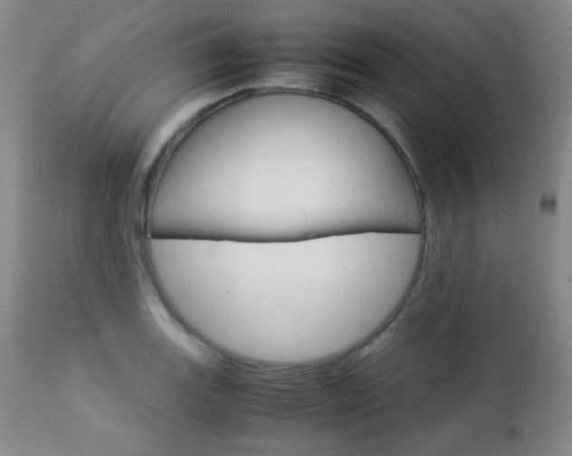 X0000112771131200908201344