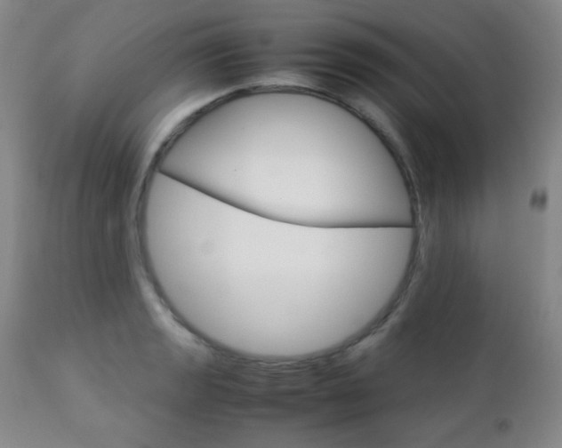 X0000112771133200908201344