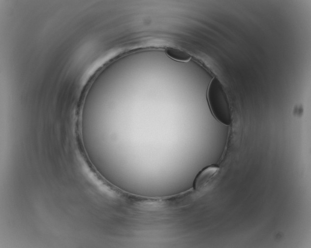 X0000112771134200908201344