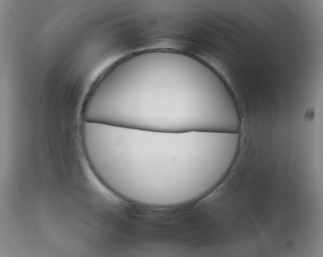 X0000112771135200908201344