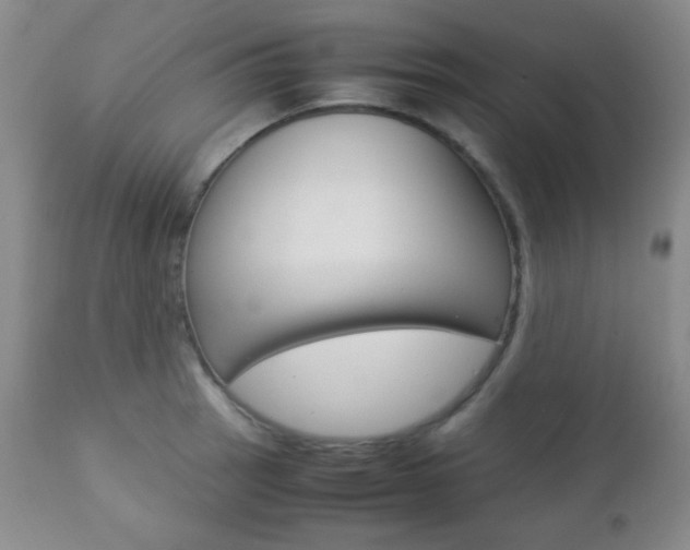 X0000112771137200908201344