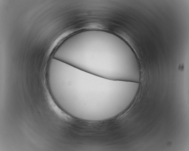 X0000112771139200908201344