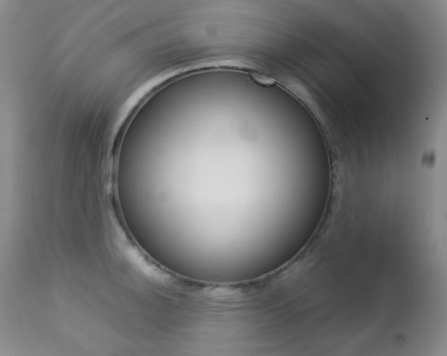 X0000112771140200908201344