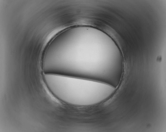 X0000112771141200908201344