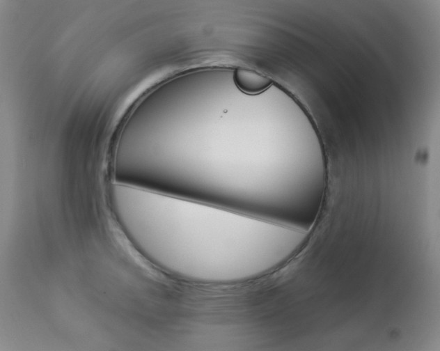 X0000112771142200908201344