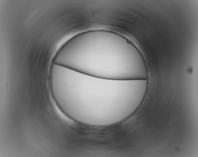 X0000112771143200908201344
