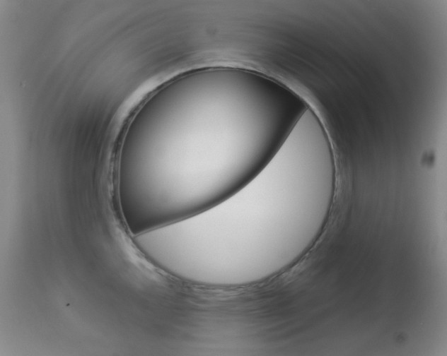 X0000112771144200908201344