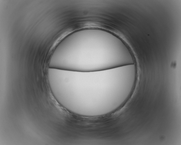 X0000112771145200908201344