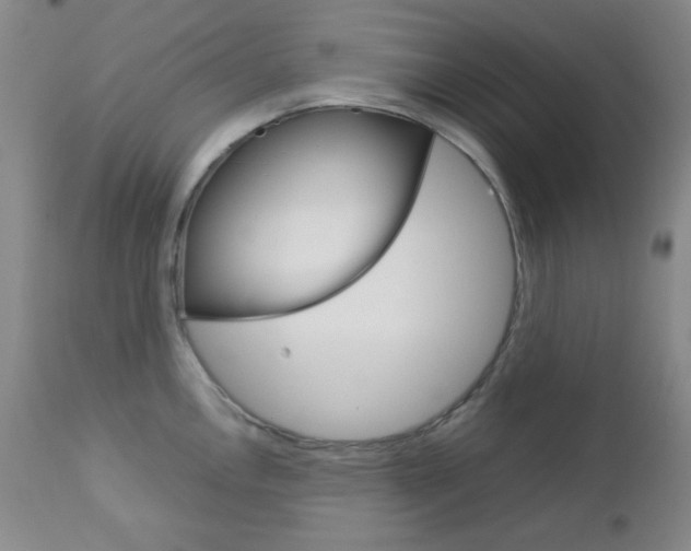 X0000112771146200908201344