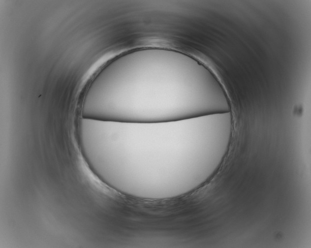 X0000112771147200908201344