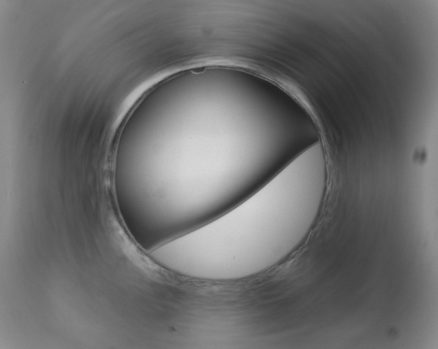 X0000112771148200908201344