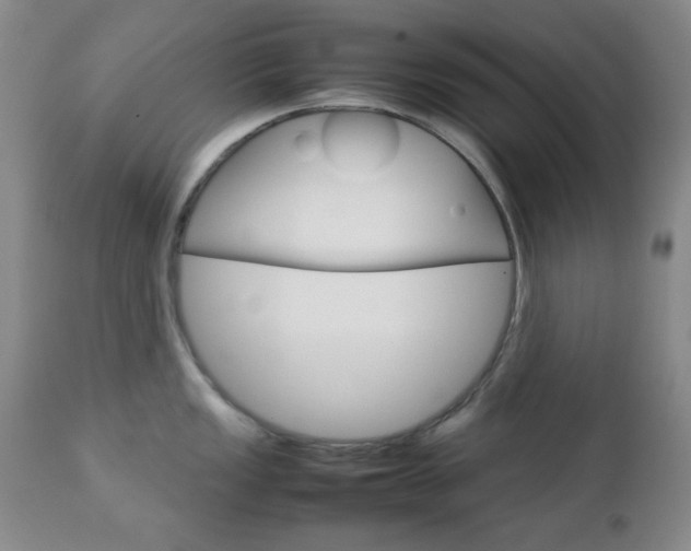 X0000112771149200908201344