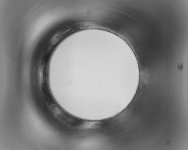 X0000112771150200908201344