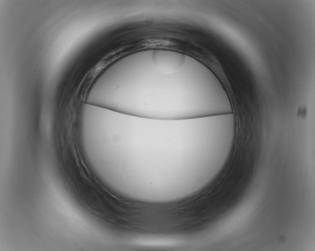 X0000112771151200908201344