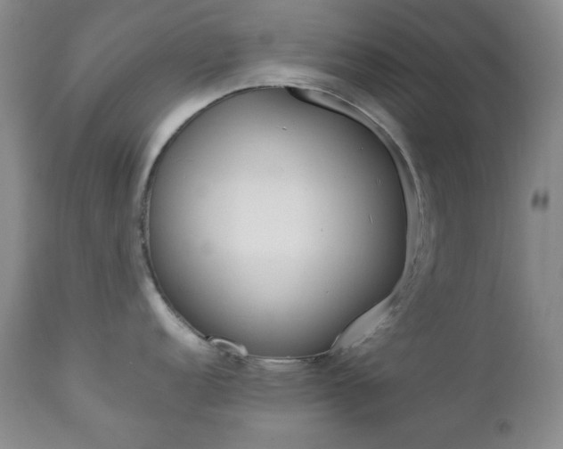 X0000112771152200908201344