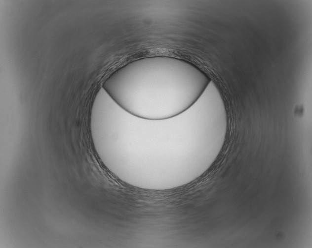 X0000112771153200908201343