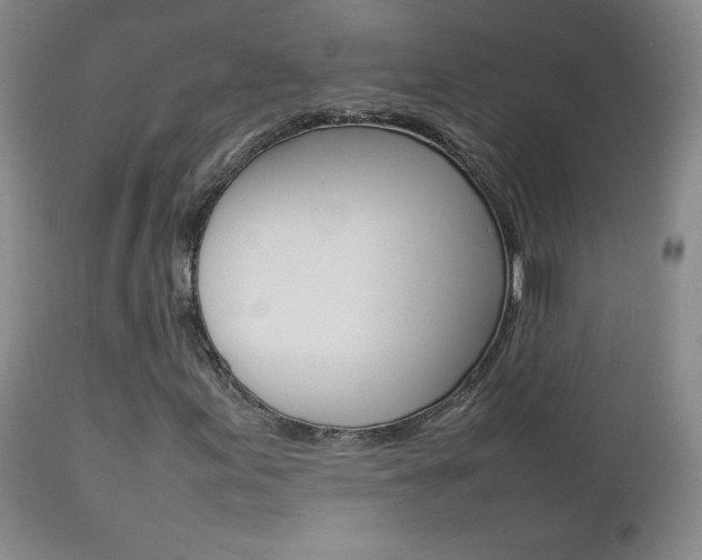X0000112771155200908201343