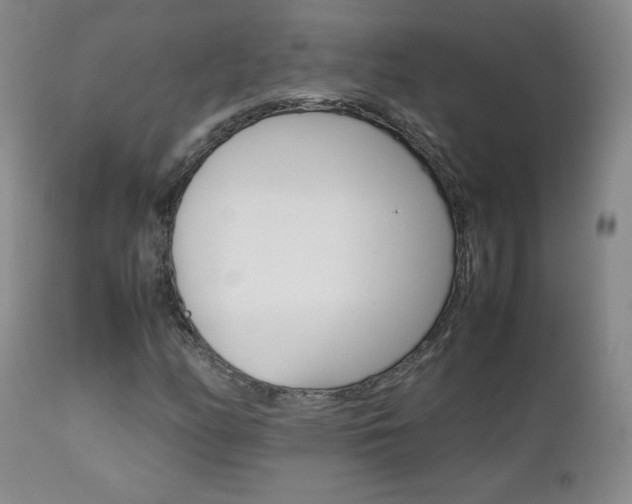 X0000112771158200908201343
