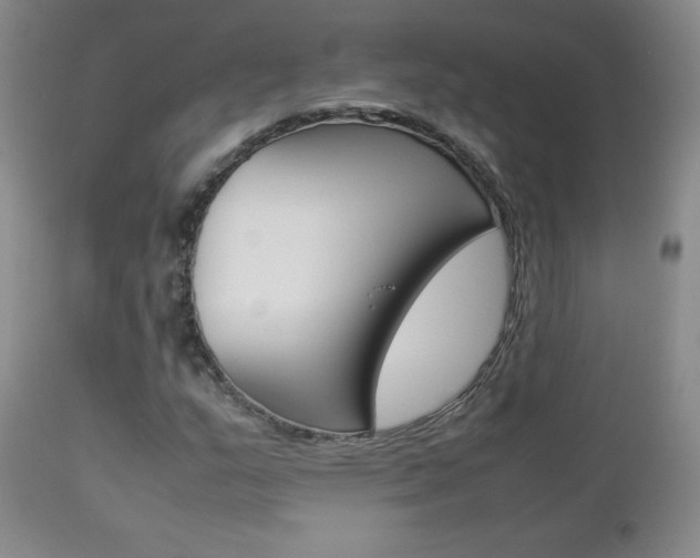 X0000112771159200908201343