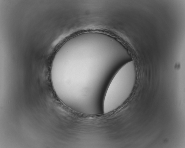 X0000112771160200908201343