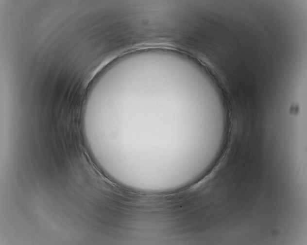 X0000112771162200908201343