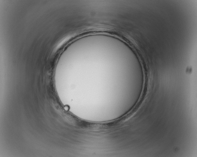 X0000112771163200908201343