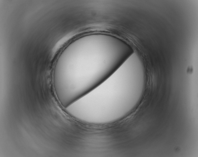 X0000112771164200908201343